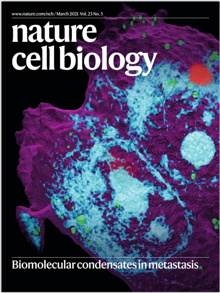 Nat Cell Biol經(jīng)典回顧